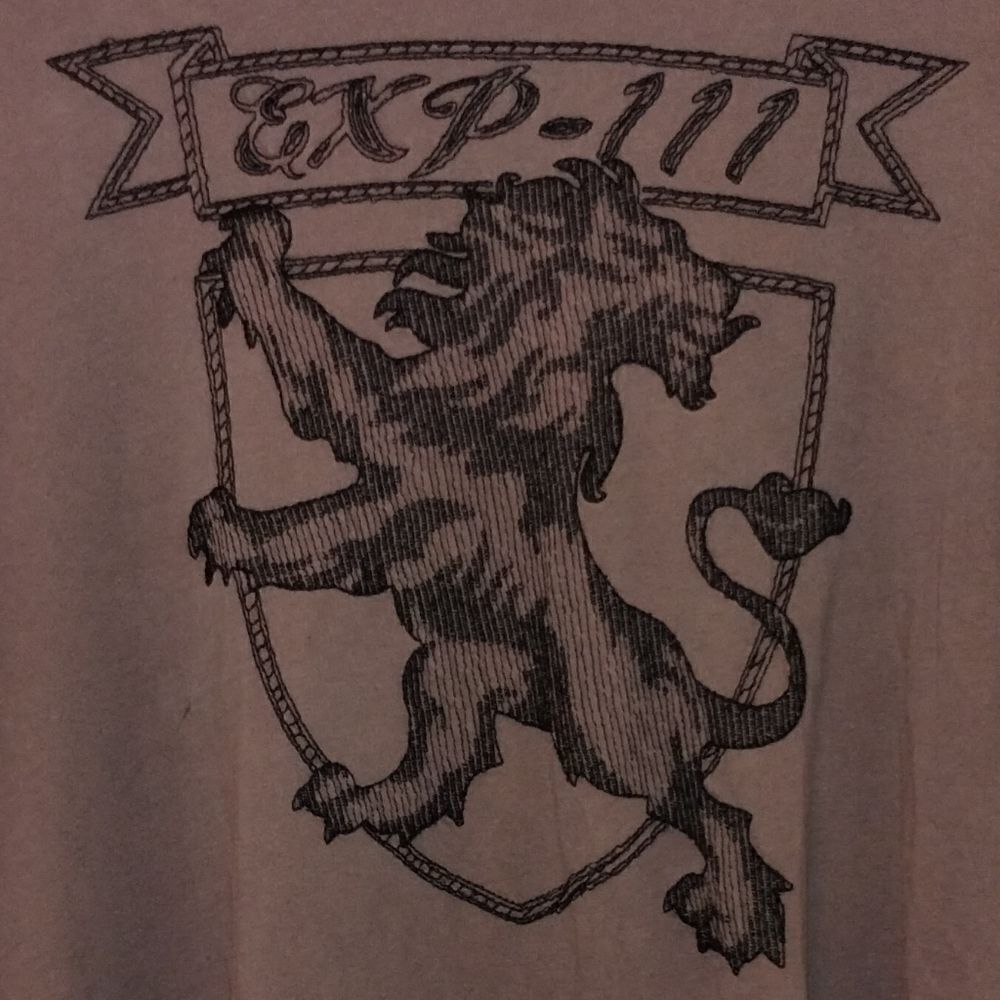 Express grey Lion tee/Unisex - Picture 2 of 7